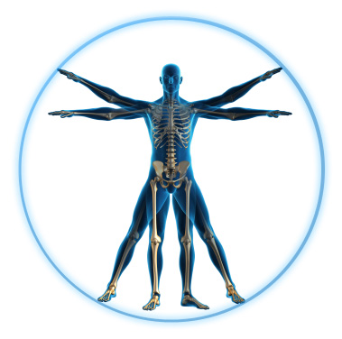 Vitruvian Man
